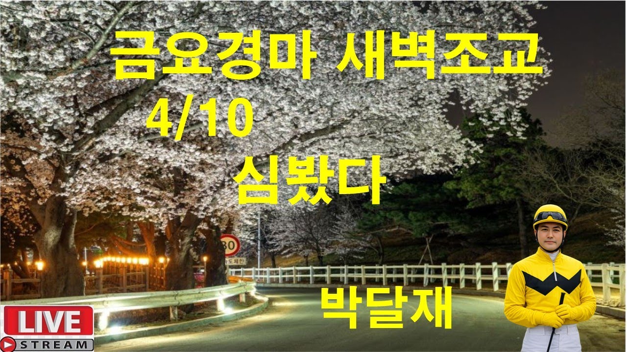 4월10일 금요경마  새벽조교  분석방송 경마예상 추천마번 복병마  온종일 라이브 방송 경마장 심마니 박달재 서울경마 부경경마 제주경마 경주분석 추천마번 예상방송 박달재