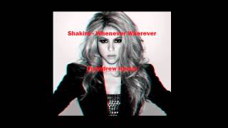 Shakira - Whenever Wherever (Dj.Andrew Remix)