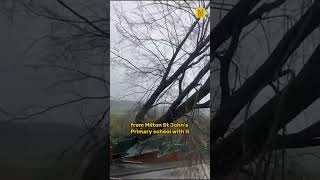 Huge tree smashes into house during Storm Claudia