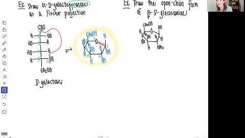 CHM4930 Exampless of Converting Open Chain and Cyclic Monosaccharides 081920