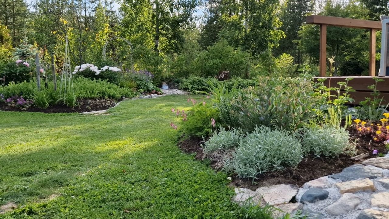 Kesäkuun pihakatselmus 23.6.2024