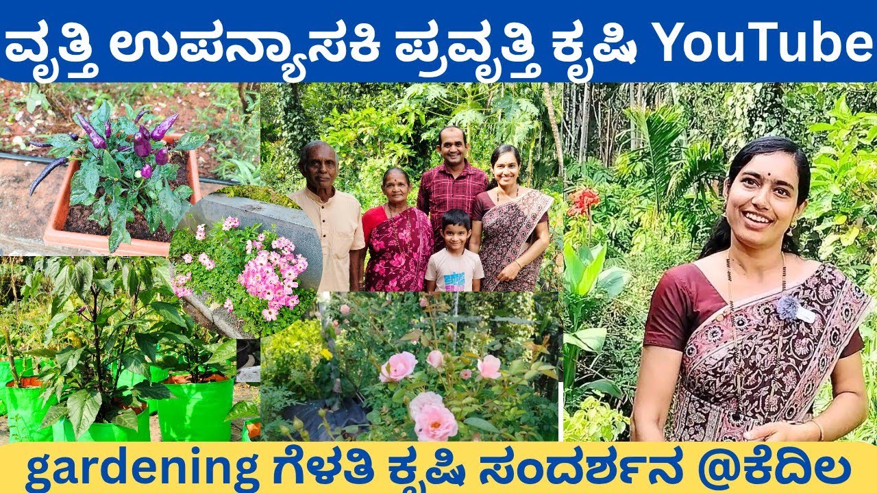 ಕೃಷಿ ನನ್ನ ಇಷ್ಟದ ವಿಷಯ ಯೂಟ್ಯೂಬ್ ಒಂದು ಹವ್ಯಾಸ‼️ @ಮಧುರ ಗಣರಾಜ್ ಭಟ್ ಕೆದಿಲ YouTube journey interesting story