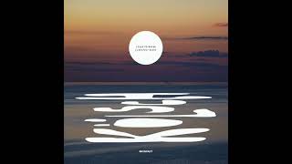 🎼🦎🎧 Kölsch - I Talk To Water ft. Perry Farrell (CamelPhat Remix)🌴🏖️🍀