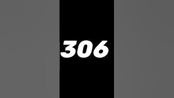 #306