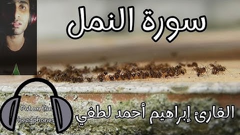 سورة النمل | القارئ إبراهيم أحمد لطفي 🍂تلاوة ندية.