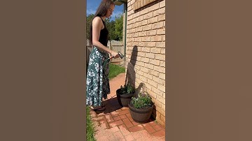 Pool Noodles Gardening Hack