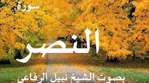110  سورة النصر بصوت نبيل الرفاعي