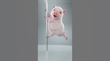 Thumbnail of #babi pintar goyang