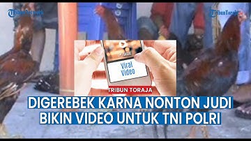 Emosi Dibubarkan Saat Asyik Nonton, Malah Buat Video Untuk TNI POLRI
