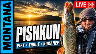 Pike Fishing Marathon — Kokanee, Rainbow Trout & Northern Pike at Pishkun, Montana #LIVE #FISHING