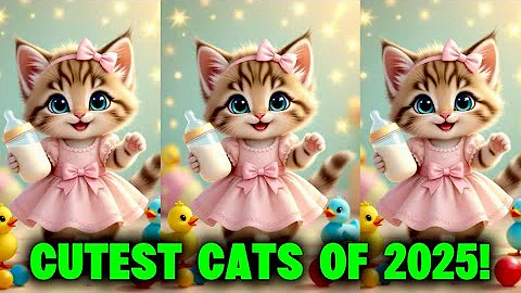 Video 11776761: cats compilation cute, cat collection, cutest cats, collect funniest, adorable cats funniest