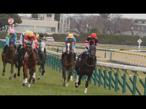 【武豊】ユタカマジック！近走不振のテリオスララが復活！絶妙なペースで逃げ切り