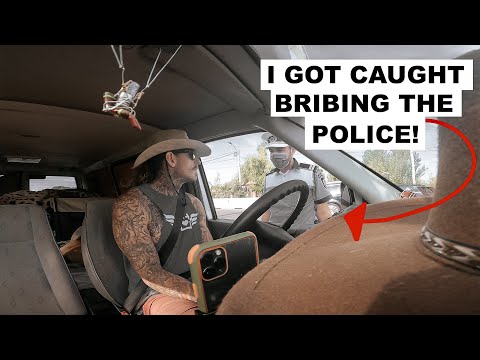 Bribing Cops, Car Breakdowns & Smuggling Puppies | This Week's Recap