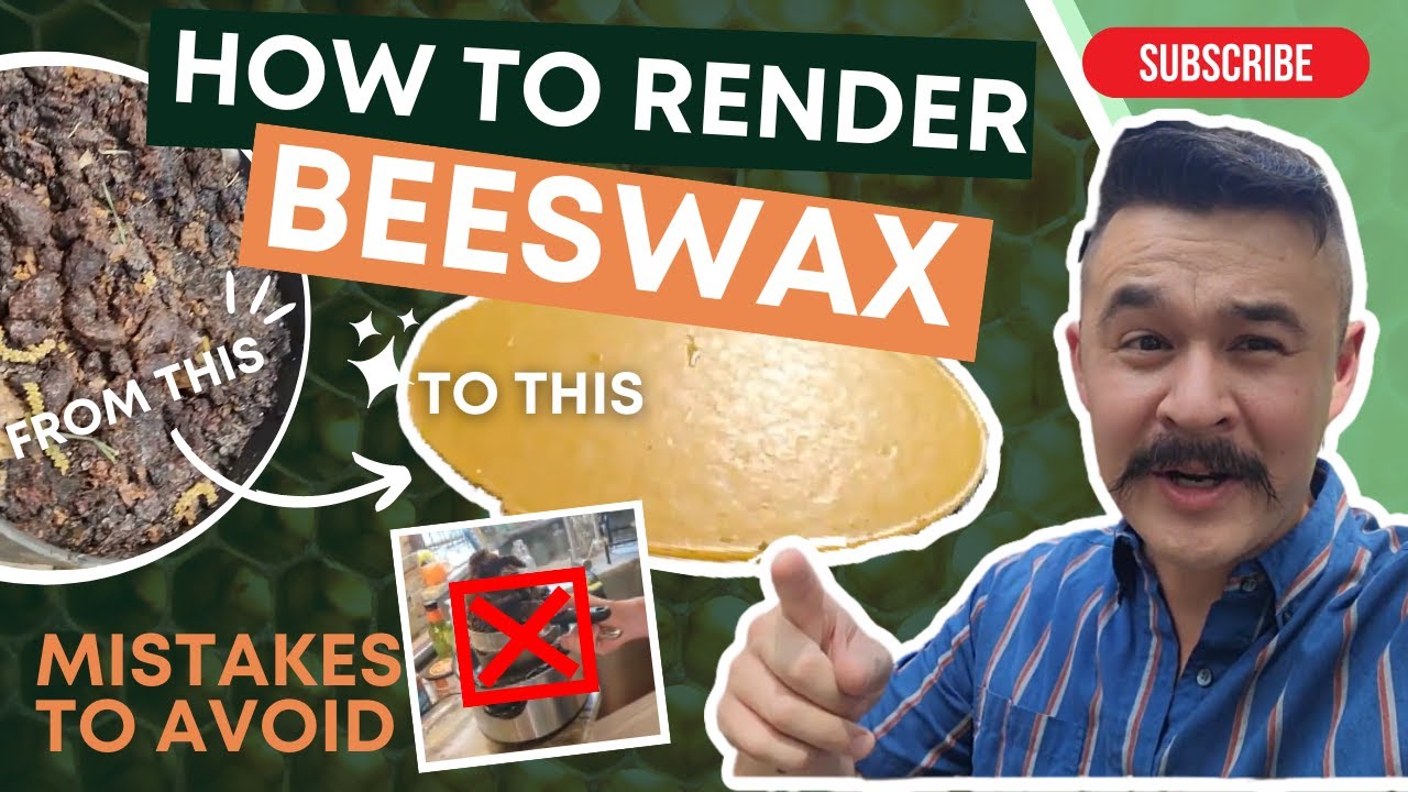 How to Render Beeswax – Mother Earth News