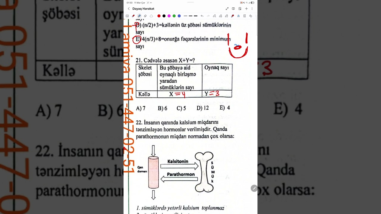Dayaq Hərəkət Aparati kuiz