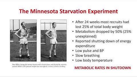 The Weight Set Point