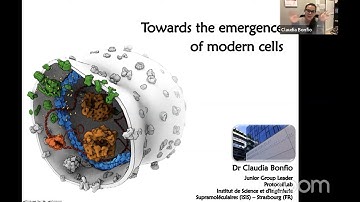 Protocells - Claudia Bonfio - Derek O