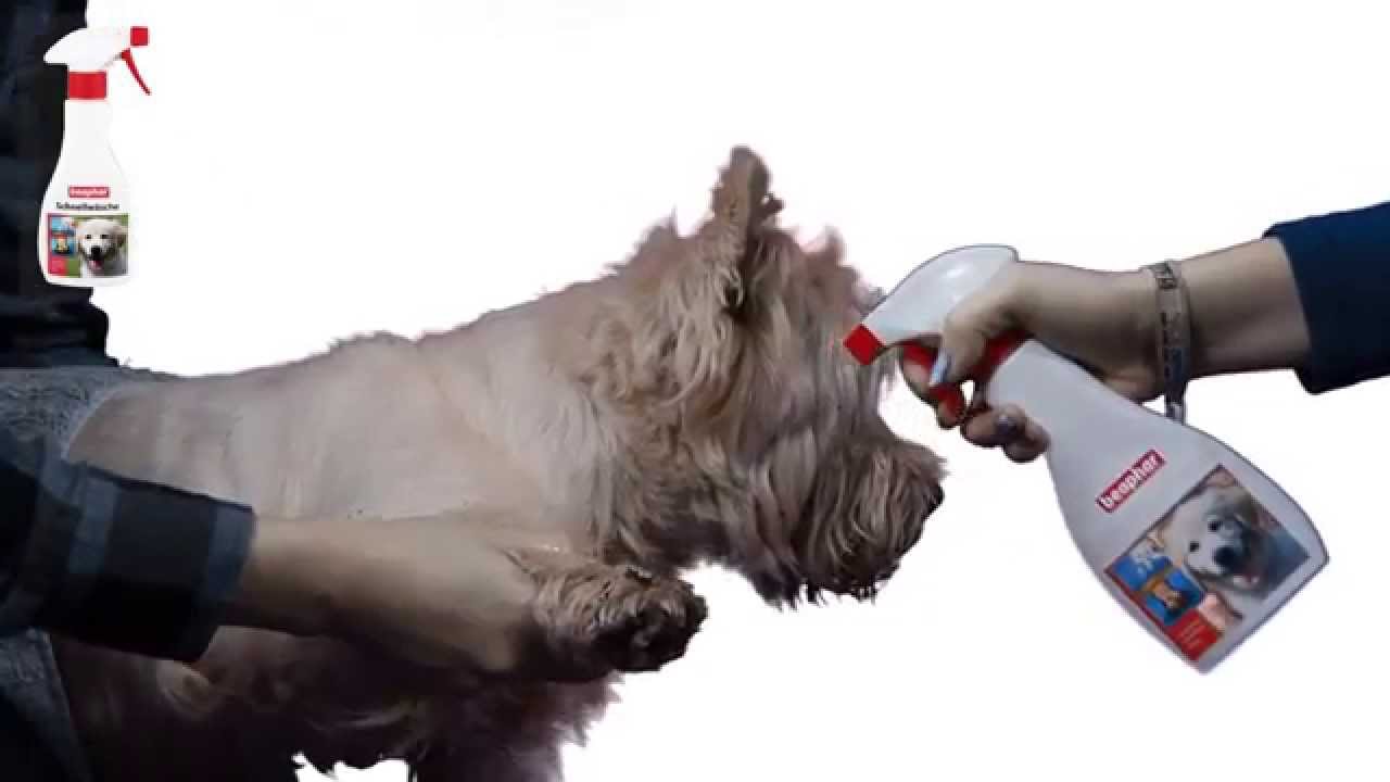 beaphar Schnellwäsche