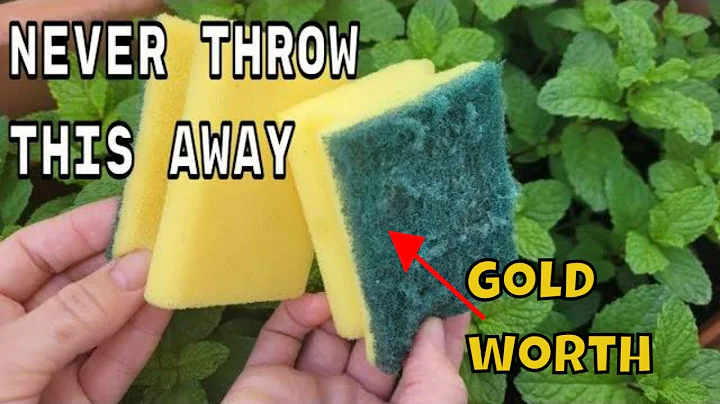 NEVER THROW THEM AGAIN !! the sponges used  are WORTH PURE GOLD on your plants in HOME AND GARDEN - DayDayNews