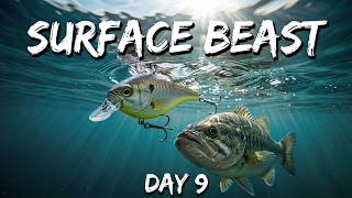 100 Days, 100 Baits | Day 9: Is the Strike King King Wake the Ultimate Wakebait?