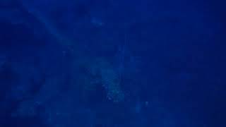 Chuuk, FSM - May 26 - GX011094