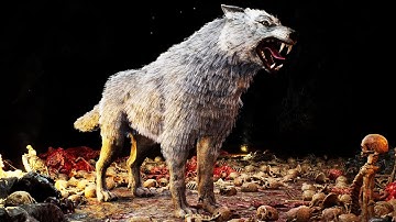 Basic Creature - Lone Wolf and Regular Wolfs [Beneos Tokens]