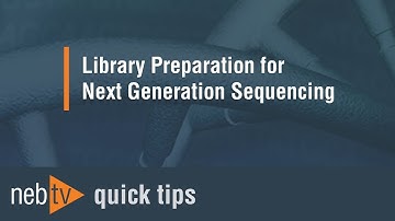 Quick Tips - Adding the lysis buffer for the PCR in the NEBNext RNA workflow