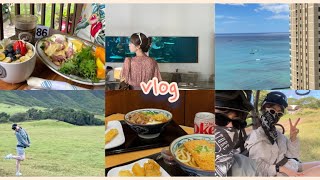 [vlog] 하와이 신혼여행 브이로그 🌺 / 알로힐라니 리조트 와이키키 비치 / 쿠알로아랜치 UTV / 아일랜드 빈티지 커피 / 하와이 렌트 / 선셋비치 / 하와이 마루카메우동