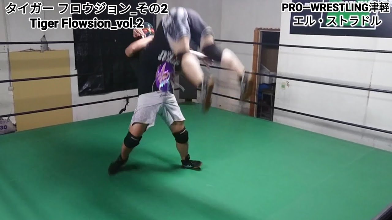 タイガーフロウジョン その2 Youtube