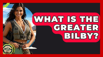 What Is The Greater Bilby? - The Wild Life Explorer