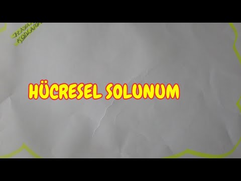 Video: Anaerobik Ve Aerobik Solunum