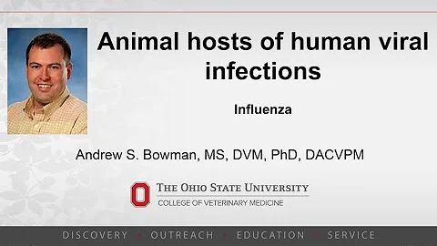 COVID-19:  Animal Hosts of Human Viral Infections ...