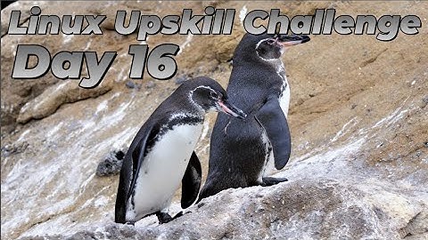[Day 16] Archive Files - Linux Upskill Challenge