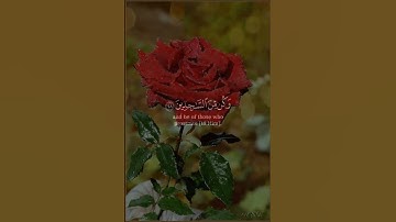 ولقد نعلم أنك يضيق صدرك بما يقولون🌿 القارئ #فارس_عباد 🌿