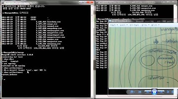 생활코딩 - Hello world - mongodb Hello world 예제