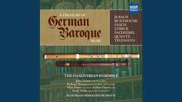 Trio Sonata in C Major for recorder, transverse flute and continuo : II. Alla Breve