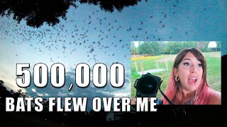 WORLD&#39;S LARGEST OCCUPIED BAT HOUSES | University of Florida | Gainesville