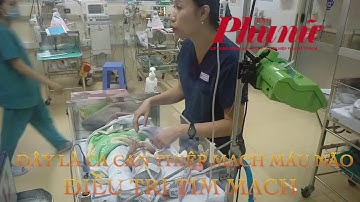 Bé gái suy tim 20 ngày tuổi trở thành bệnh nhân nhẹ cân nhỏ nhất được can thiệp mạch máu não