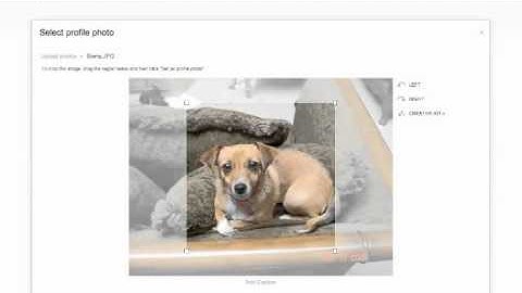 Creating a Google+ account