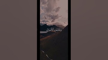 وخشعت الأصوات للرحمن - تلاوة خاشعة للشيخ ياسر الدوسري