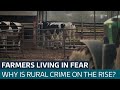 Farmers fearful as criminal gangs drive machinery black market | ITV News