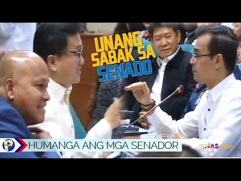 Video: Ilang standing committee ang nasa Senado?