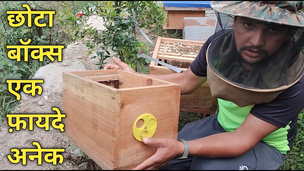 results of small box !!! छोटे बॉक्स के फ़ायदे ही फ़ायदे