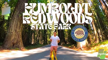 Experience the REAL Humboldt Redwoods State Park in Just One Day!