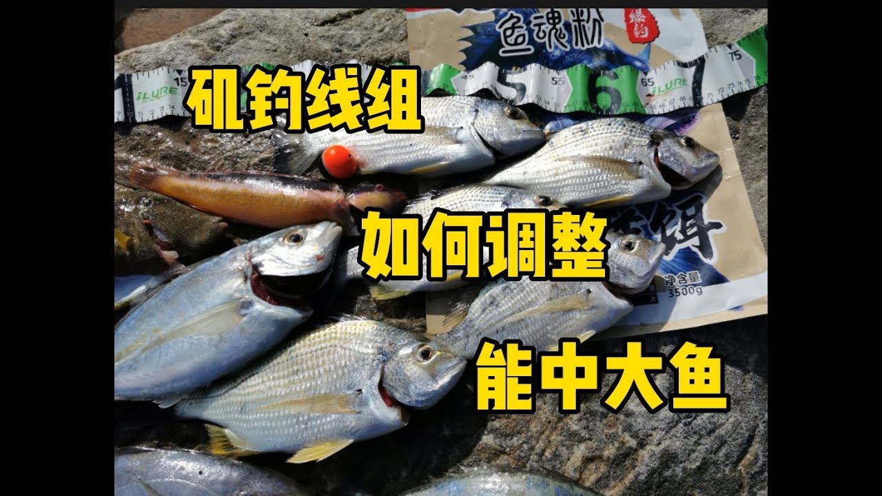 【澳洲矶钓】 &【阿波的调试】& 【配重的妙用】矶钓线组小调整 结果可以大的不同 矶钓