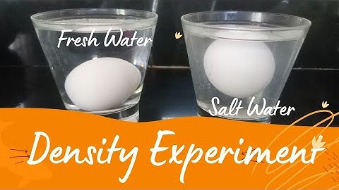 Density Experiment | Water, Egg & Salt Experiment | Fluid Mechanics