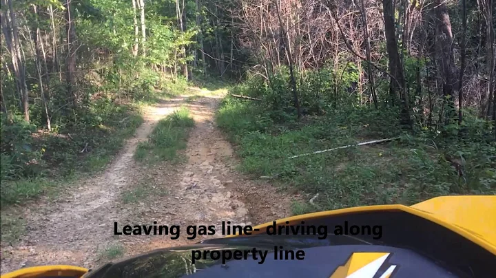 54 Acres Julian Boone Realty Nick Cabell 304-784-1...