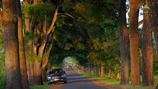 Chào Mừng Trại Liên Kết Thứ 16 Của Laputa Farm by Laputa Farm 476 views 1 year ago 2 minutes, 16 seconds