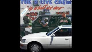 2 Live Crew Get It Girl (Bass Boosted)