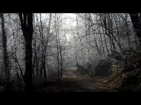 Zoran Majstorovic&Dunja Knebl-Postaj
